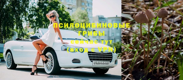 МДПВ Арсеньев