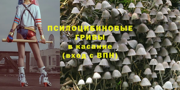 прущая мука Аркадак