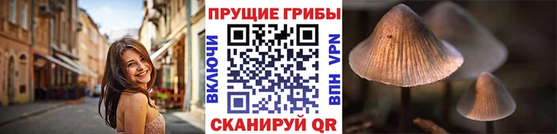 Псилоцибиновые грибы Psilocybe  купить наркотик  Рошаль 
