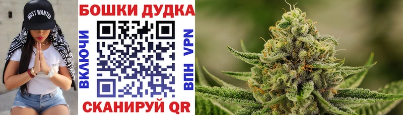 закладка  Рошаль  Марихуана индика 